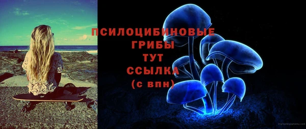 стафф Армянск