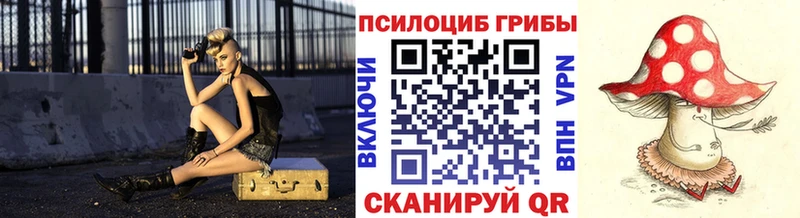 Псилоцибиновые грибы MAGIC MUSHROOMS  Петропавловск-Камчатский 